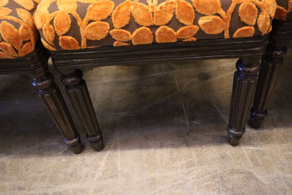 A set of six early 19th century Anglo-Indian rosewood dining chairs, with carved frames and padded seats on fluted legs